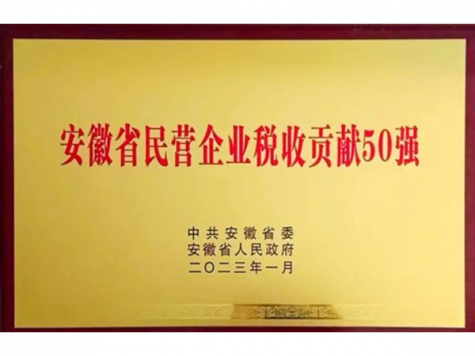 安徽省民營企業(yè)稅收貢獻(xiàn)50強(qiáng)