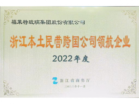 2022年度浙江本土民營跨國公司領(lǐng)航企業(yè)